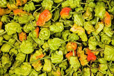 像素风恐怖解谜游戏《弗拉德马戏团》现已上线Steam